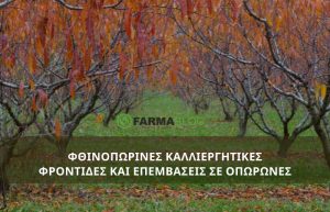 Καλλιεργητικές φροντίδες και φθινοπωρινές επεμβάσεις σε οπωρώνες