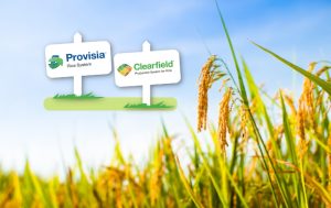 Provisia® – Η νέα τεχνολογία στην παραγωγή ρυζιού