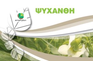 Ο ρόλος της Θρέψης με Emphyton, στα παθογόνα και στη βελτίωση απόδοσης & ποιότητας στα Ψυχανθή
