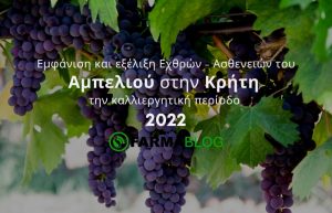 Εμφάνιση και εξέλιξη Εχθρών – Ασθενειών του Αμπελιού στην Κρήτη την καλλιεργητική περίοδο 2022