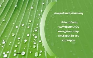 Η διαφυλλική λίπανση και η απορρόφηση των θρεπτικών στοιχείων από τα φύλλα