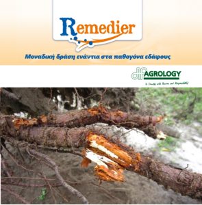 Remedier©: Δίνει Τέλος στην Εξάπλωση της Αρμιλλάριας