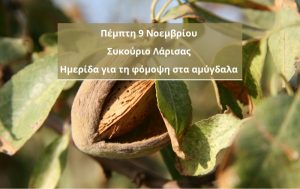 Λάρισα: Ημερίδα στο Συκούριο για τη φόμοψη στα αμύγδαλα