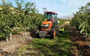Φυτοκάλυψη στη Δενδροκομία ως τεχνική αύξησης γονιμότητας του εδάφους