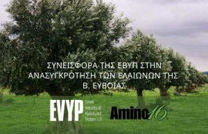 Συνεισφορά της ΕΒΥΠ στην ανασυγκρότηση των ελαιώνων της Β. Εύβοιας