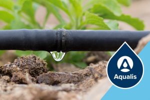 Nitrophoska® Aqualis solub – υδατοδιαλυτά λιπάσματα για μέγιστη απόδοση από τη EUROCHEM