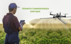 Tεχνητή γονιμοποίηση της Καρυδιάς με drones