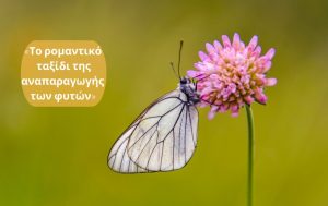 Το ρομαντικό ταξίδι της αναπαραγωγής των φυτών!
