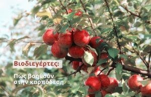 Πως οι Βιοδιεργέτες μπορούν να βοηθήσουν στην Καρπόδεση των φυτών
