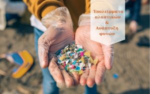 Πώς τα υπολείμματα μικροπλαστικών στο έδαφος επηρεάζουν την ανάπτυξη των φυτών;