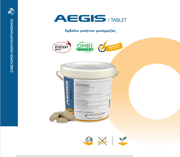 AEGIS TABLET