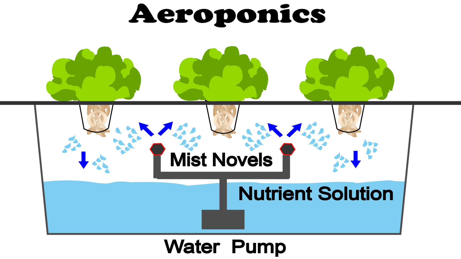 AEROPONICS