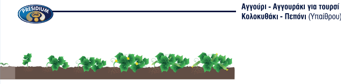 AGGOYRI
