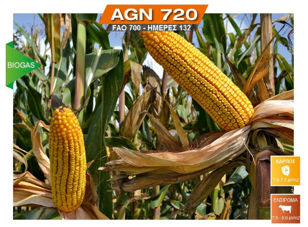 AGN720