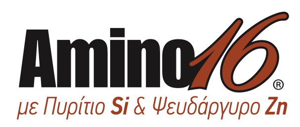 AMINO Si Zn new