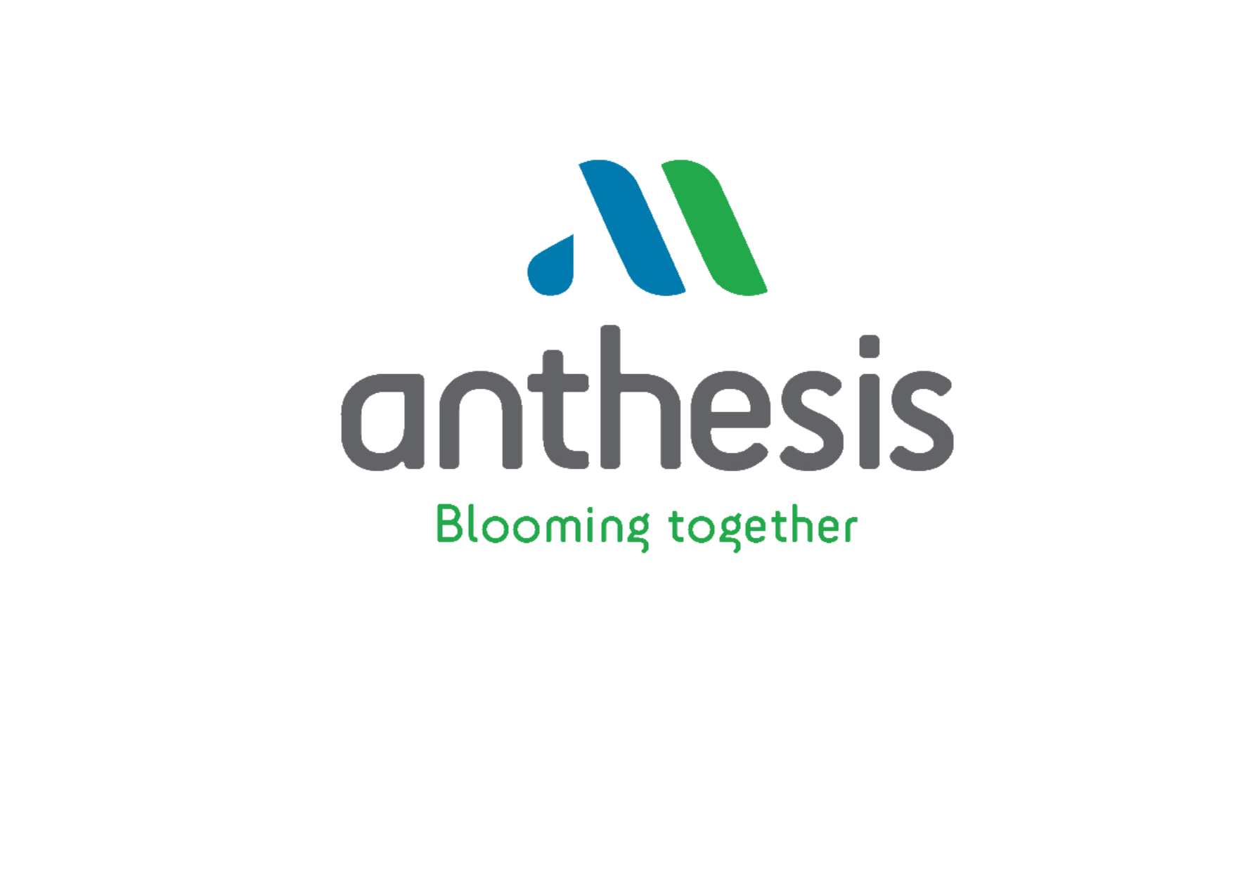 ANTHESIS LOGO TRANSPARENT