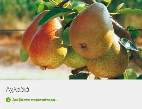 AXLADIA