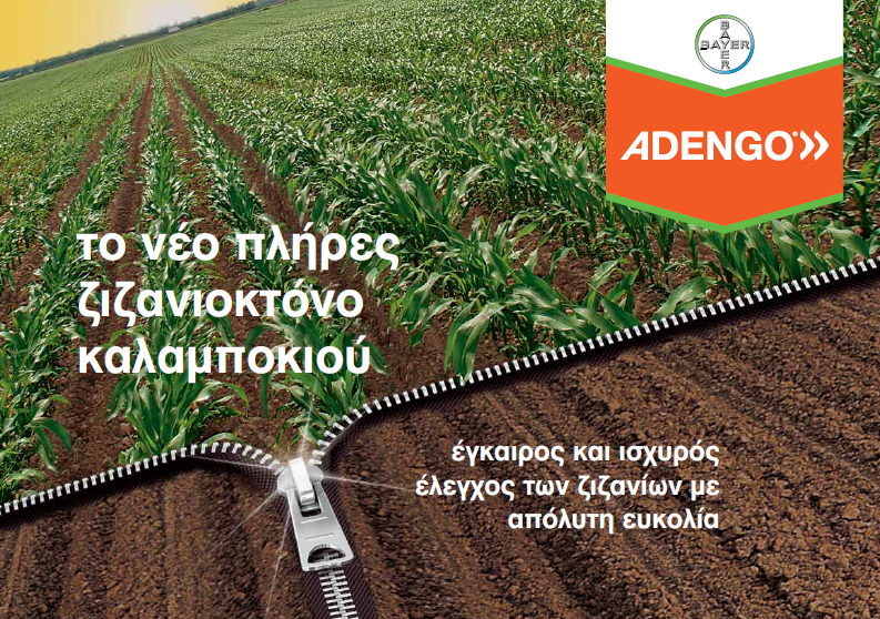 Adengo eksofyllo