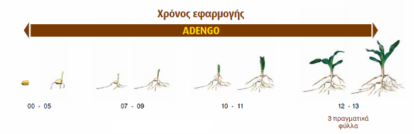 Adengo xronos efarmoghs