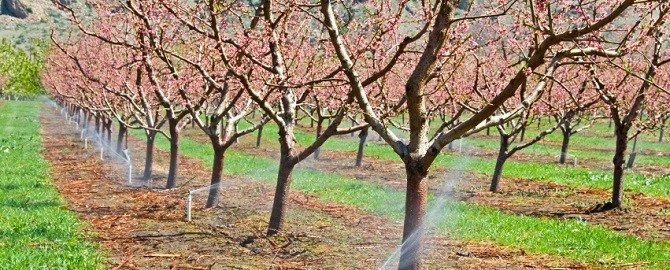 Ag Irrigation Systems in Brenham Texas