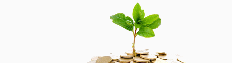 Agricultural Loans Image