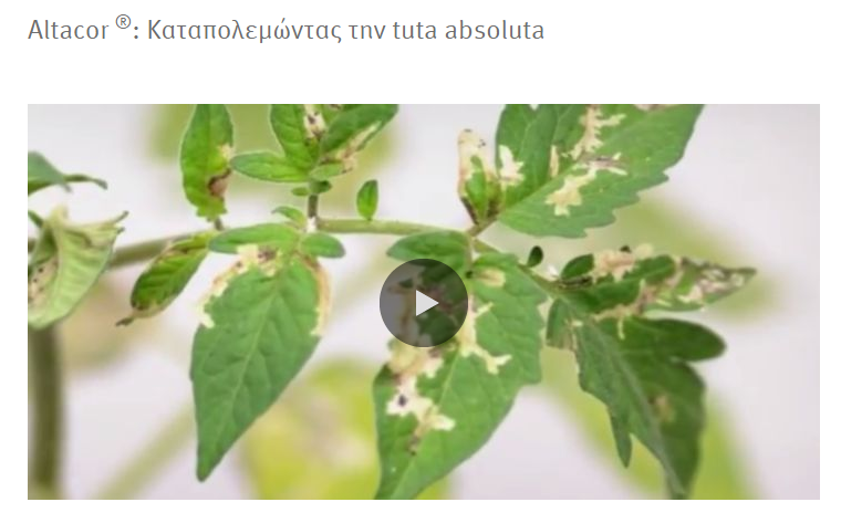 Altacor video