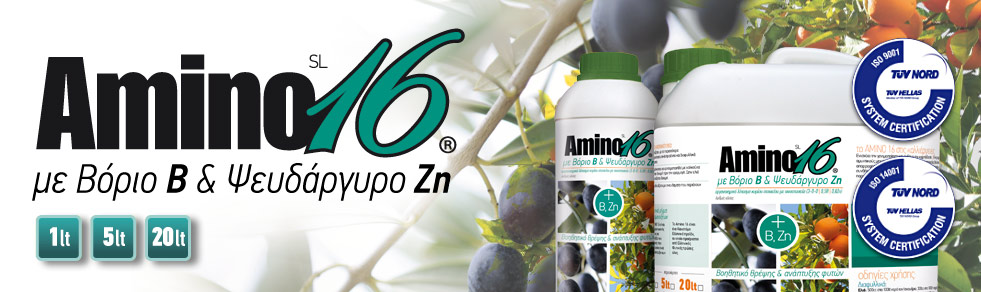 AminoBZn sl