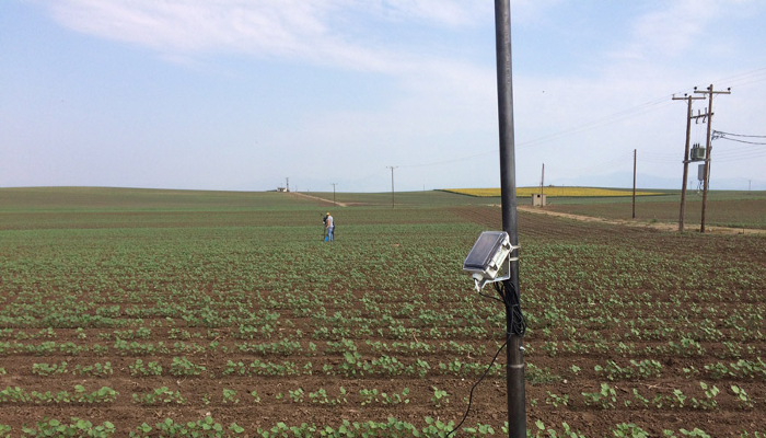 BAYER FARMACON Digital Farming