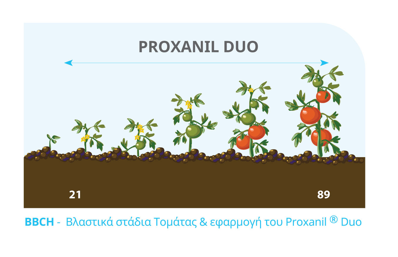 BBCH TOMATA PROXANIL DUO