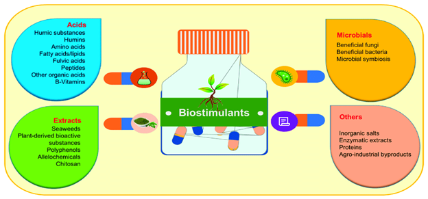 BIOSTIMULANTS 3