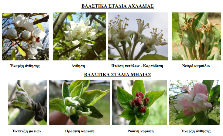 BLASTIKA STADIA axladi mhlo 15.04.2022
