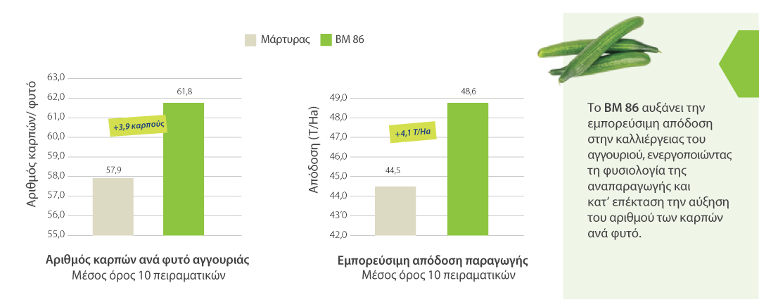 BM86 ΑΓΓΟΥΡΙ
