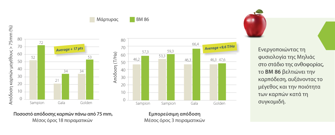 BM86 ΜΗΛΟ