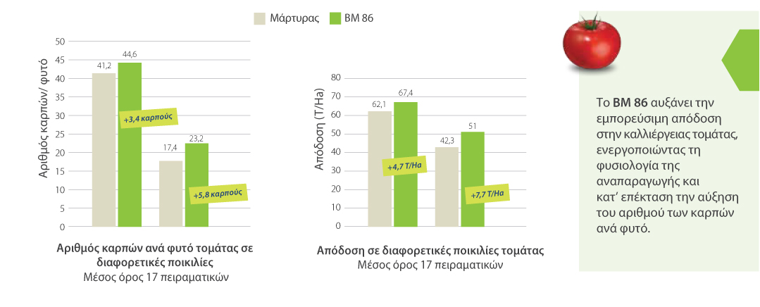 BM86 ΤΟΜΑΤΑ
