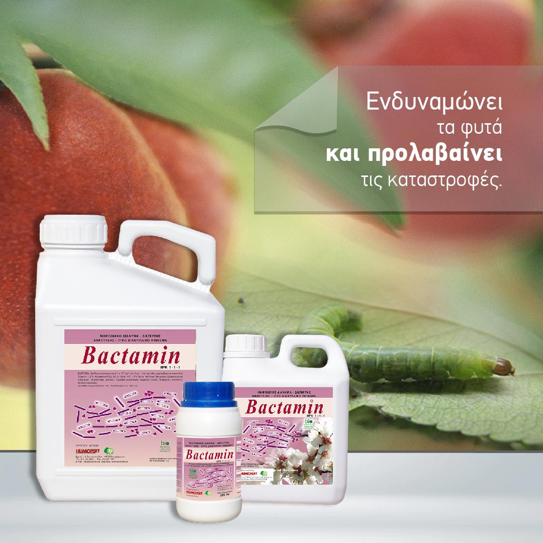 Bactamin 01