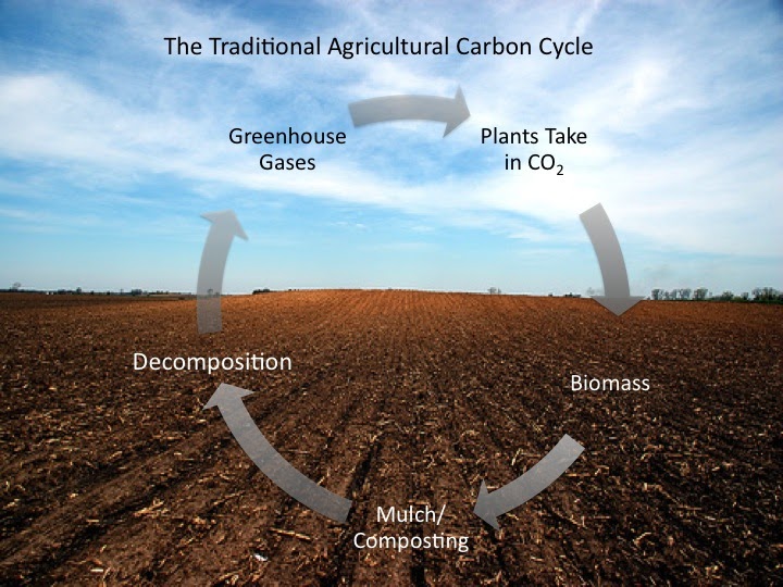 CARBONFOOTPRINT2