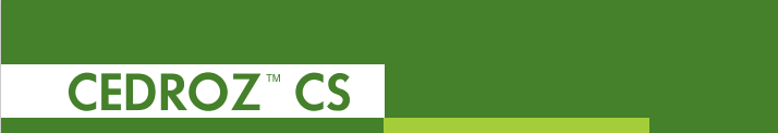 CEDROZ LOGO