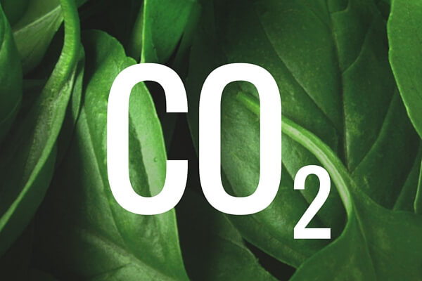 CO 2