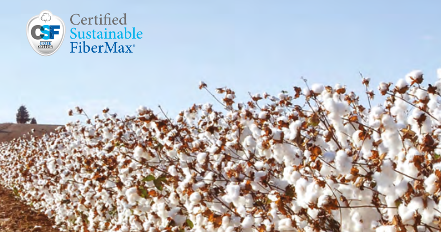 CSF COTTON