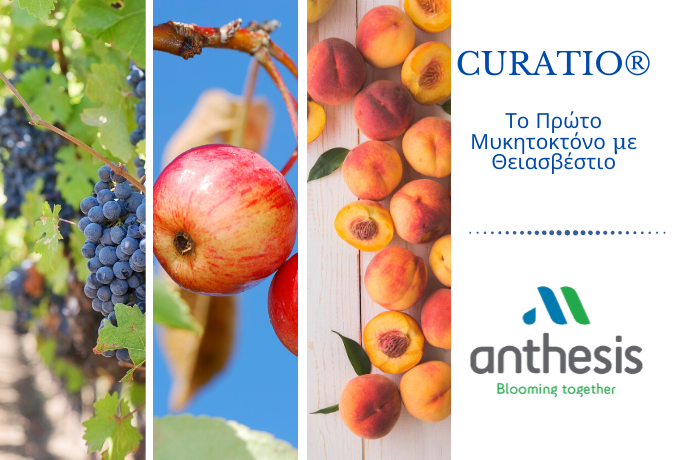 CURATIO COVER