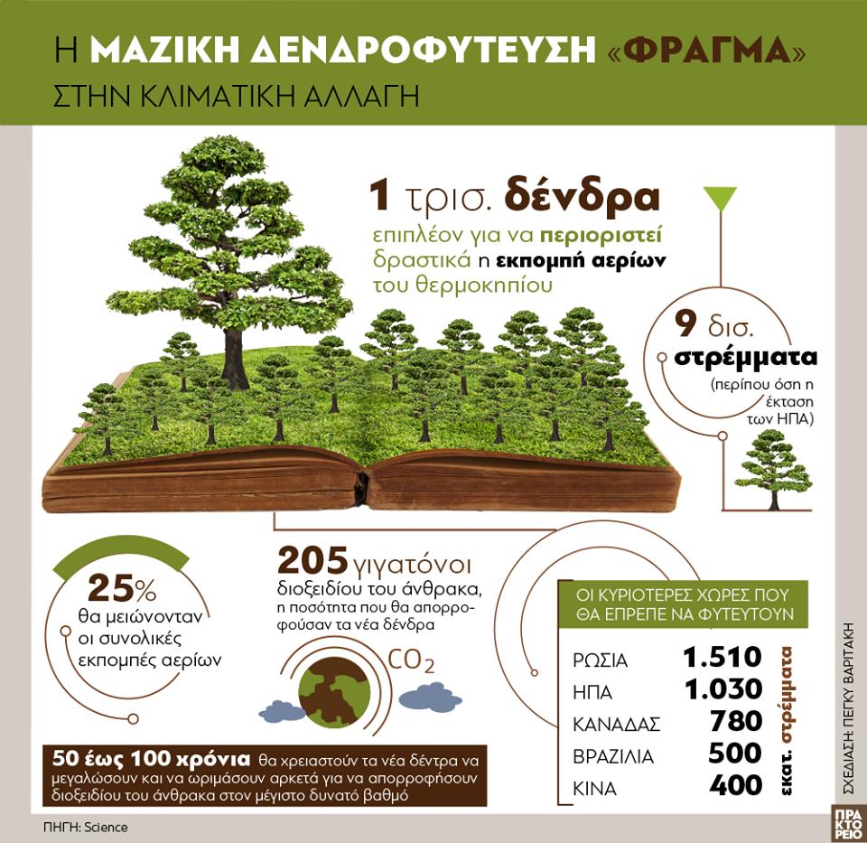 DENDROFYTEYSH