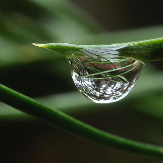 Drop 1