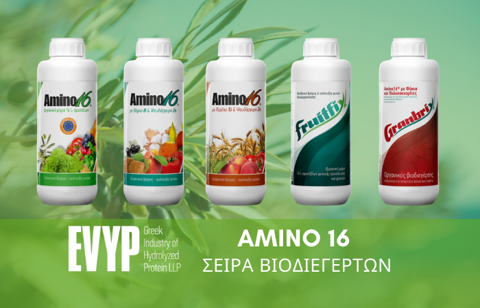 EBYP FARMACONBLOG BIODIEGERTES AMINO16
