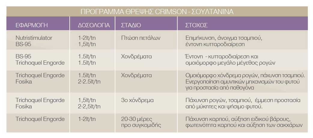 EMPHYTON STAFYLI 3