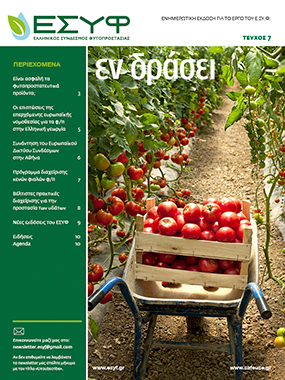 ESYF NEWS 7 cover