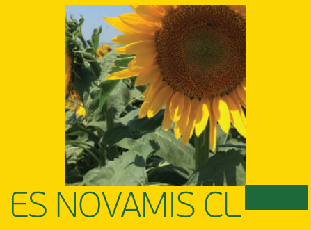 ES NOVAMIS CL