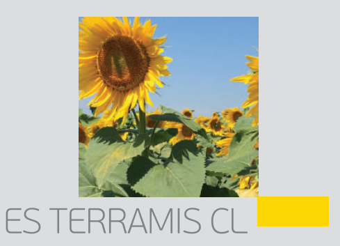 ES TERRAMIS CL