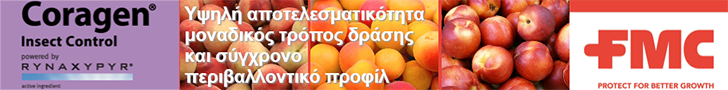 FMC peach 728x90