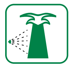 FOINIKOEIDH