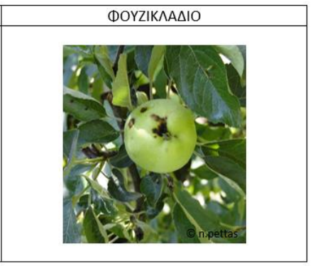 FOUZIKLADIO